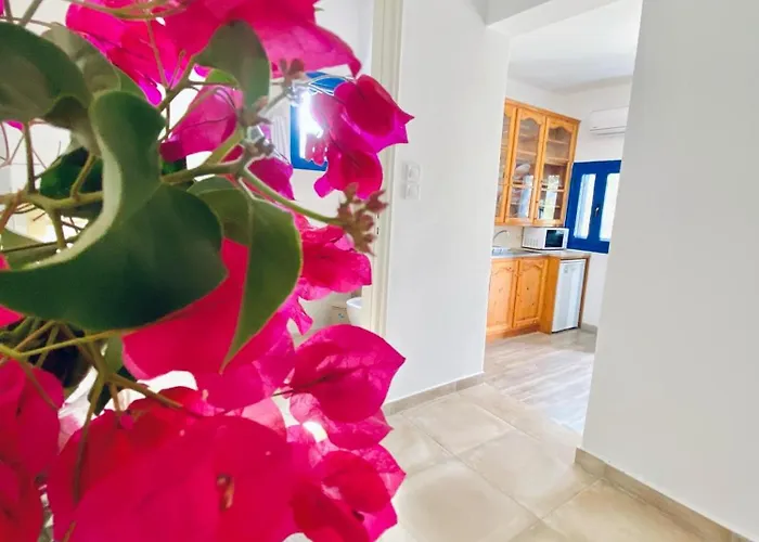 Nyaraló Views - Emboriósz